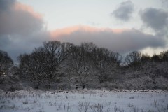 Stenrosgarden-Vinter-pa-Stenrosgarden-100-Boende-Kivik-Nationalpark-Stenshuvud-Osterlen