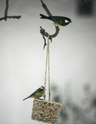 Stenrosgarden-Vinter-pa-Stenrosgarden-150-Boende-Kivik-Nationalpark-Stenshuvud-Osterlen