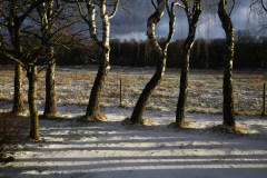 Stenrosgarden-Vinter-pa-Stenrosgarden-170-Boende-Kivik-Nationalpark-Stenshuvud-Osterlen