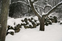 Stenrosgarden-Vinter-pa-Stenrosgarden-190-Boende-Kivik-Nationalpark-Stenshuvud-Osterlen