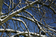 Stenrosgarden-Vinter-pa-Stenrosgarden-230-Boende-Kivik-Nationalpark-Stenshuvud-Osterlen